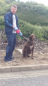 transport-caini-germania