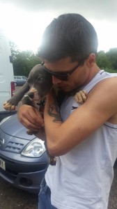 transport-catei-amstaff