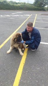 transport-catei-ciobanesc