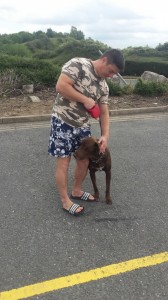 transport-catei-germania