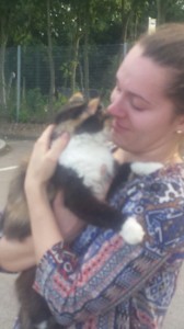 transport-pisici-anglia