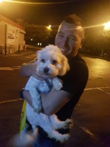 transport-animale-bichon 