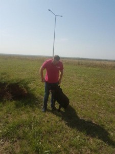 transport-animale-cane corso