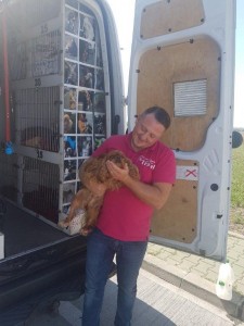 transport-animale-caniche