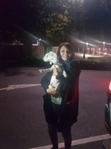 transport-caini-bichon-8