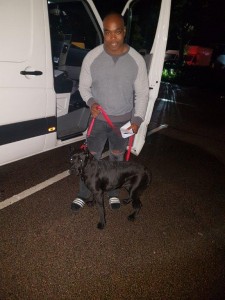 transport-caini-cane corso