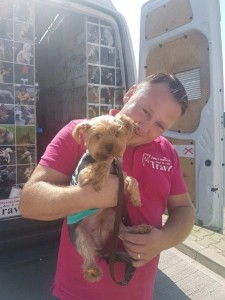 transport-caini-yorkshire terrier-2