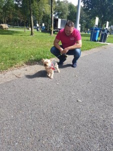 transport-caini-yorkshire terrier