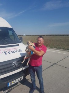 transport-catei-pug
