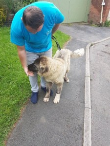 caine transport 2017.06.06