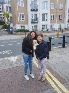 transport Bichon de companie