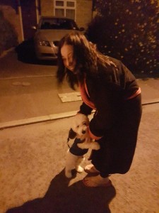 transport  animale Bichon maltez