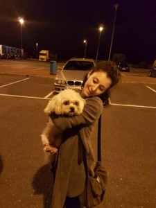 transport bichon LONDRA