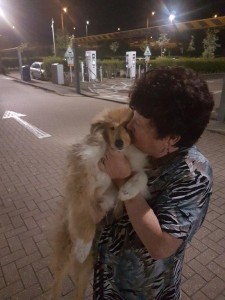 transport caine colli Anglia