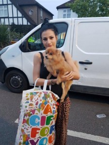 transport caine pomeranian Londra