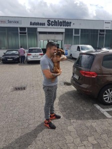 transport caini 06.06.2017