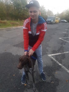 transport-caini-german shorthaired pointer