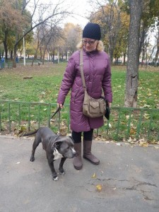 transport-catei-amstaff
