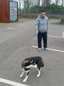 husky germania transport 