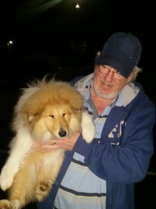 transport collie uk 