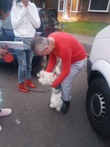 transport-animale-bichon