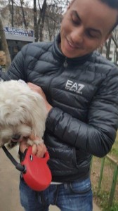transport-animale-bichon (2)