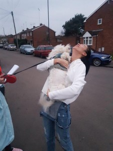 transport-caini-bichon (2)