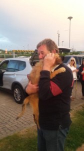 transport animale companie 10.05.2017