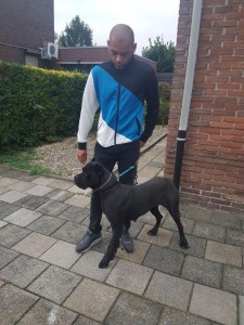 transport-animale-cane corso