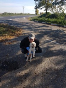 transport-caini-bichon-austria