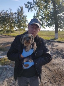 transport-caini-bichon-franta