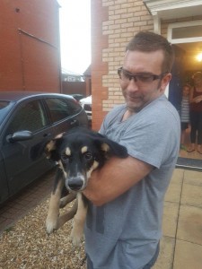 transport-caini-germania