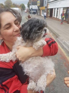 transport-catei-bichon-austria