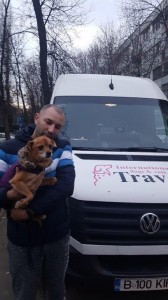 transport-animale-anglia (2)