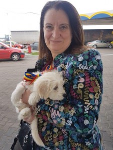 transport-animale-bichon (2)