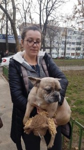 transport-animale-bulldog francez