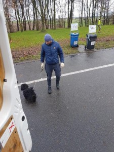 transport-caini-bichon (3)