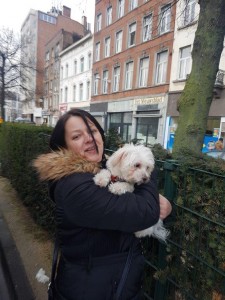 transport-catei-bichon (2)