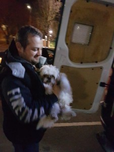 transport-animale-bichon (2)