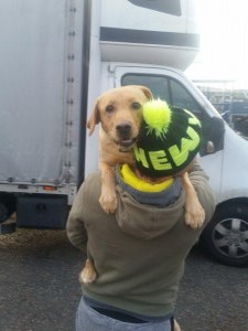retriever transport 3 