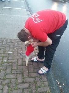 transport catel anglia 