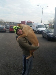 transport retriever uk 