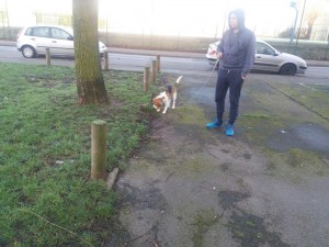 cocker transport uk 