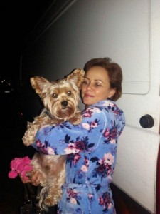 terrier transport 