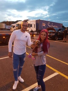 transport-caini-yorkshire terrier