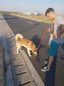 transport-catei-aki