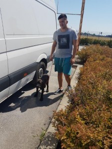 transport-catei-anglia