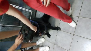 20160609 162902  
