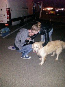 3-transport-labrador-06-iunie-2016