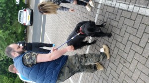 3-transport-labrador-negru-2016-uk